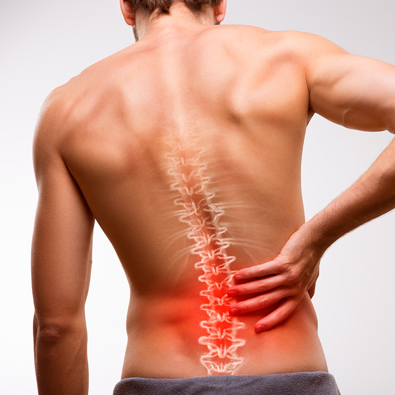 A person with their back facing the camera, showing the spine with an overlay illustration. The hand is placed on the lower back, which is highlighted in red, indicating pain or discomfort.